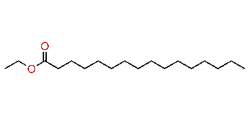 Ethyl hexadecanoate